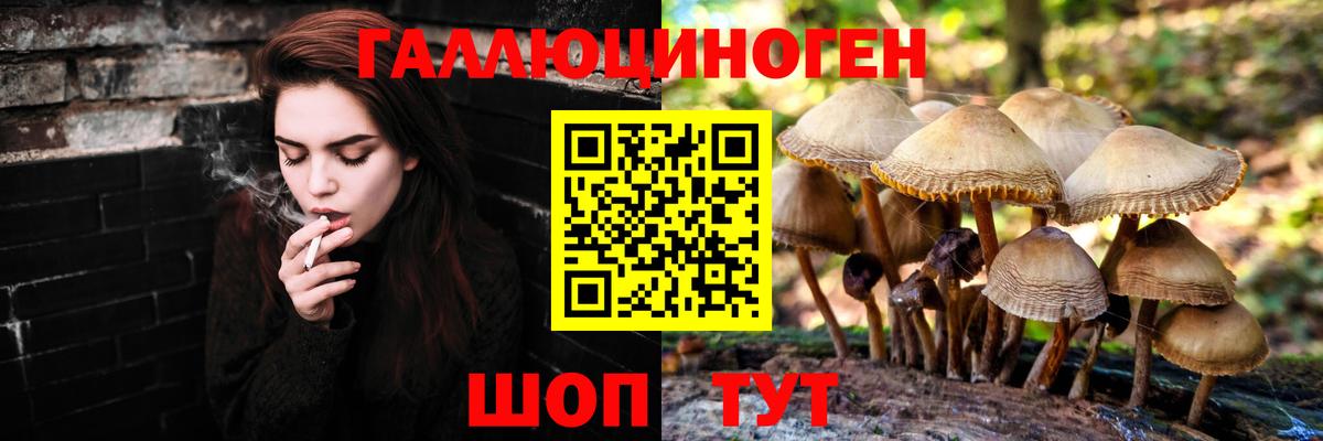 Учалы  Псилоцибиновые грибы Psilocybine cubensis  Вход с VPN 